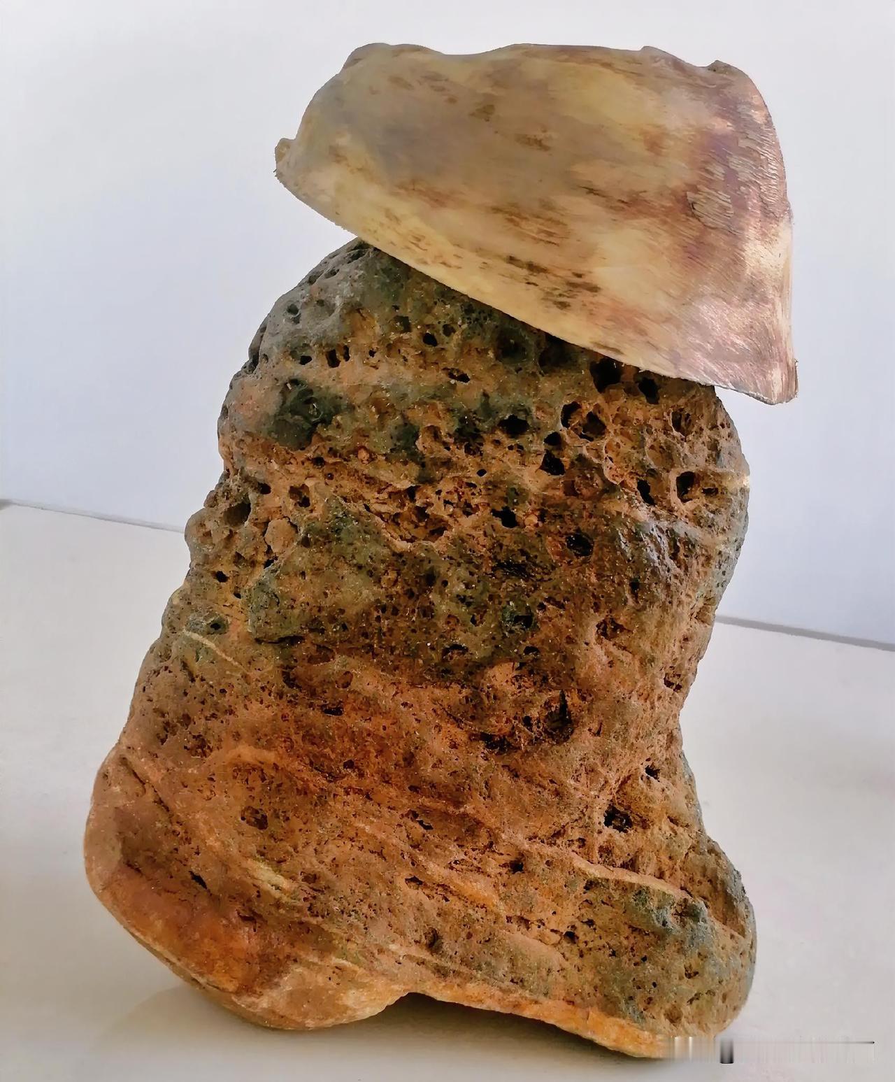 《穿“鞋”戴“帽”：“鞋”为石头，帽为树节节朽剩空壳（李林摄于汉中城固）》