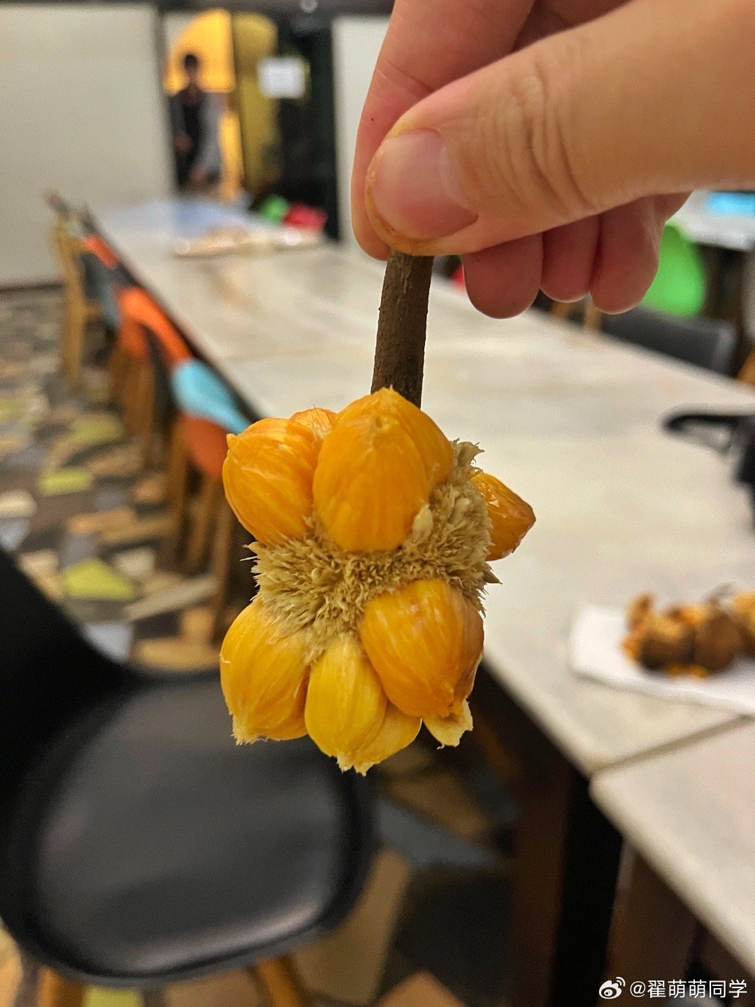 吃到两个小小的【菠萝蜜】，一个黄色的【异叶菠萝蜜】，一个白色的【香菠萝蜜】，都还