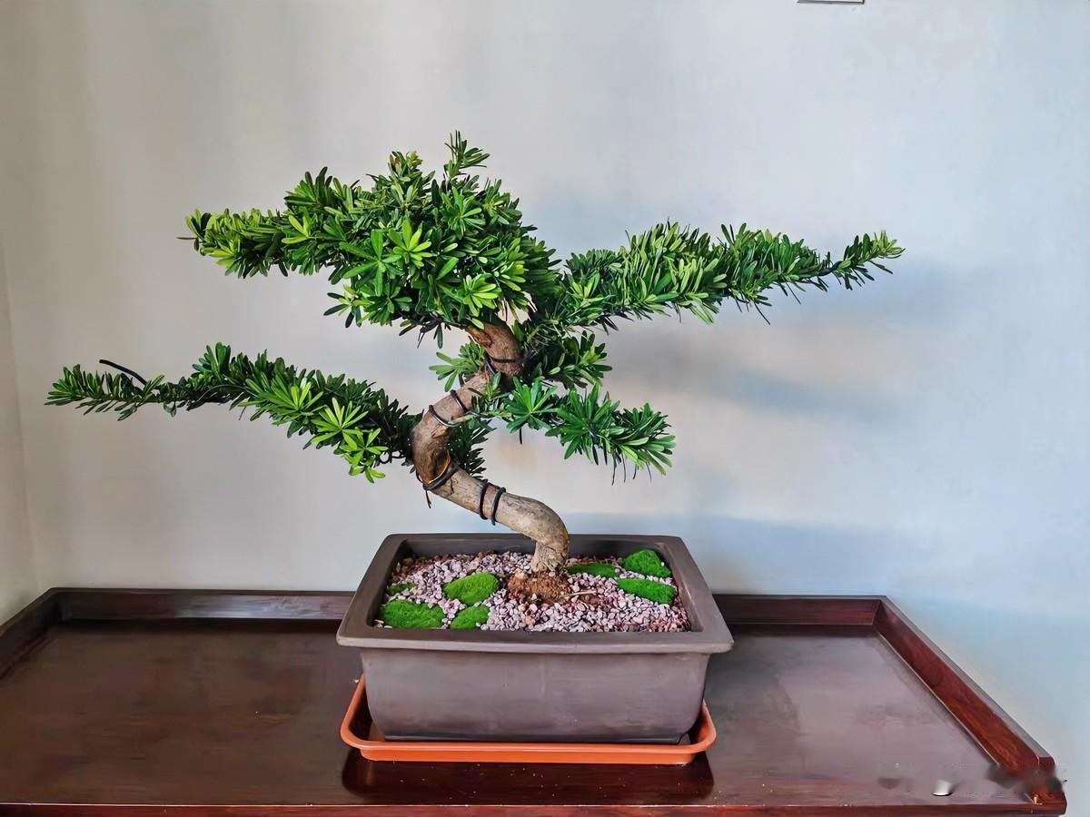 普通家庭的父母，做到以下这几条，孩子想不争气都难！

1、立规矩讲道理
全家一起