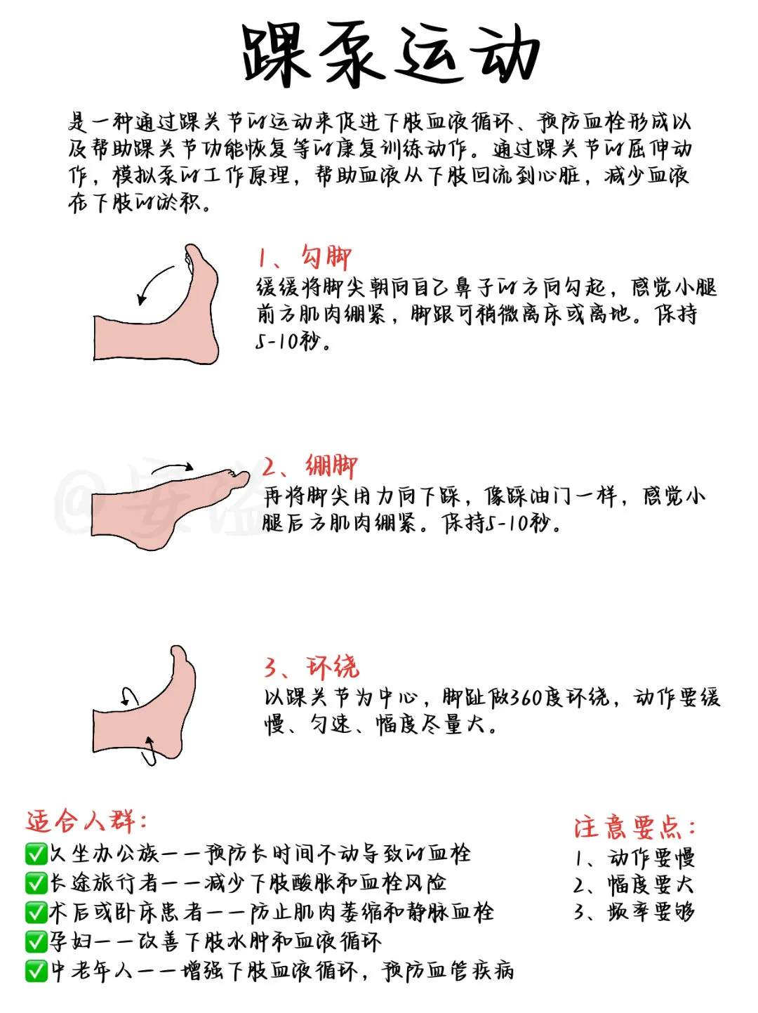 医学生绘本‖踝泵运动