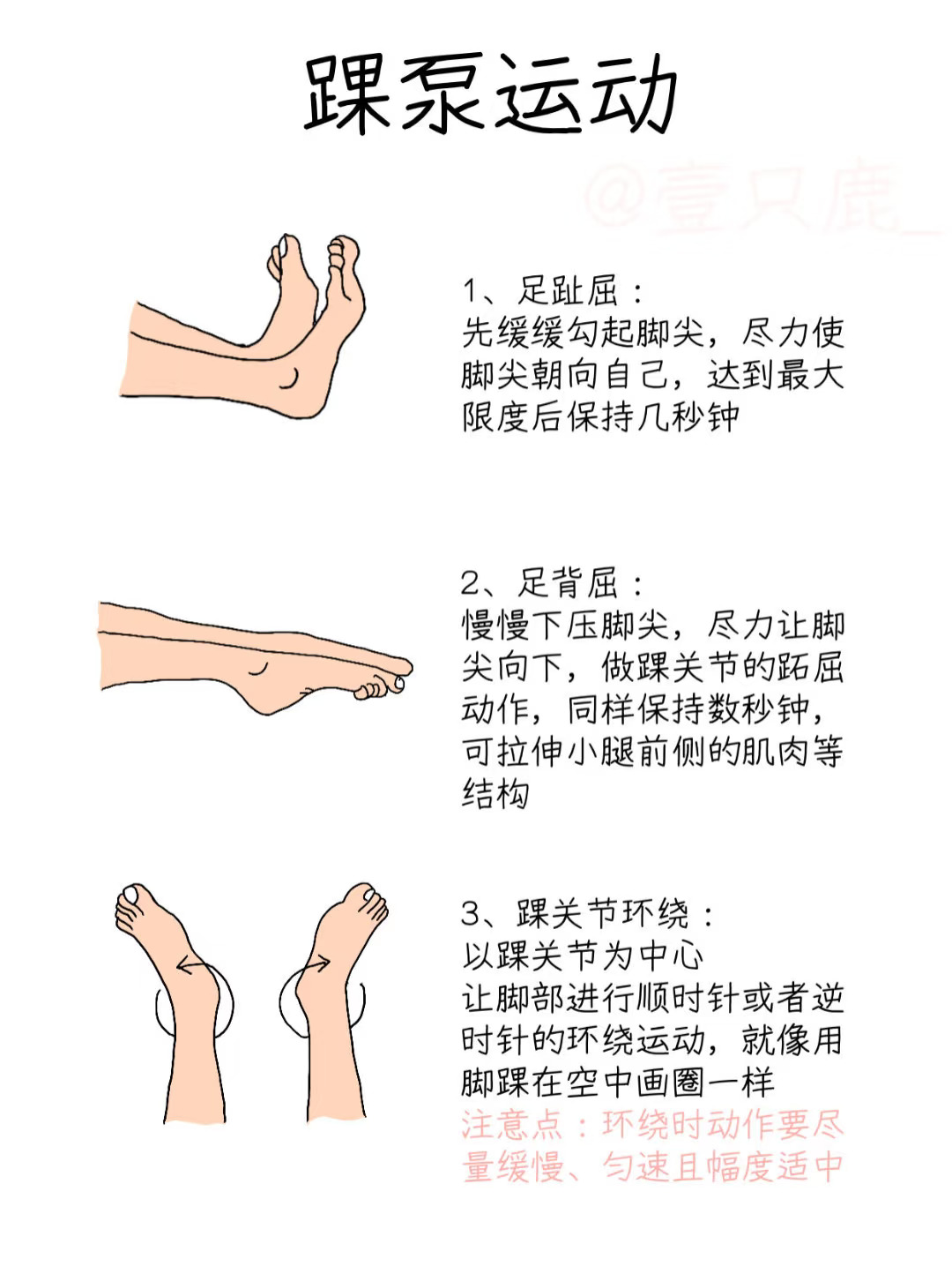 医学生笔记📝｜小踝泵大作用