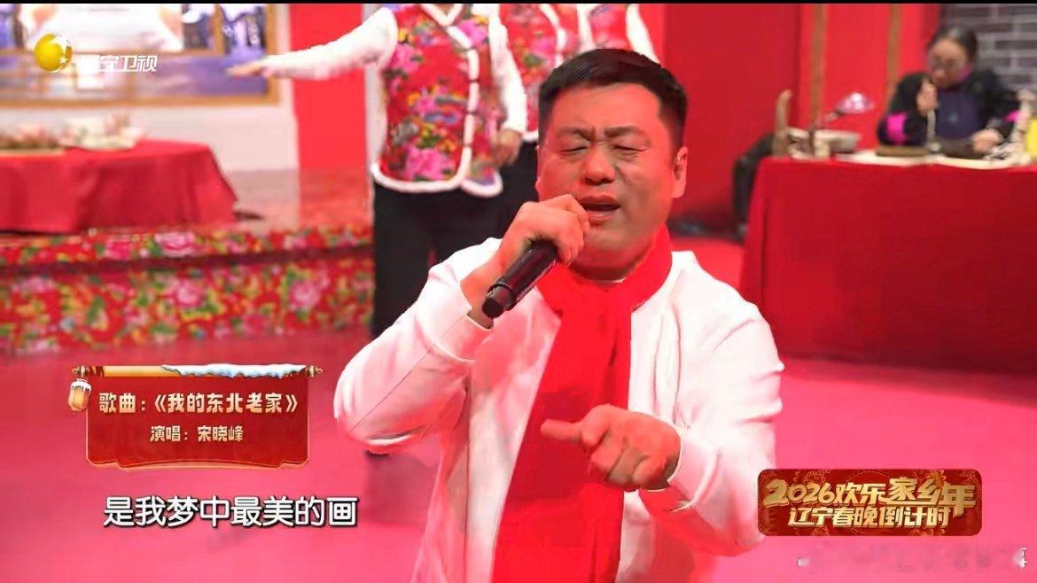 宋晓峰硬核DJ版我的东北老家 这反差感太绝了！在辽宁沈阳，宋晓峰用硬核DJ风重新