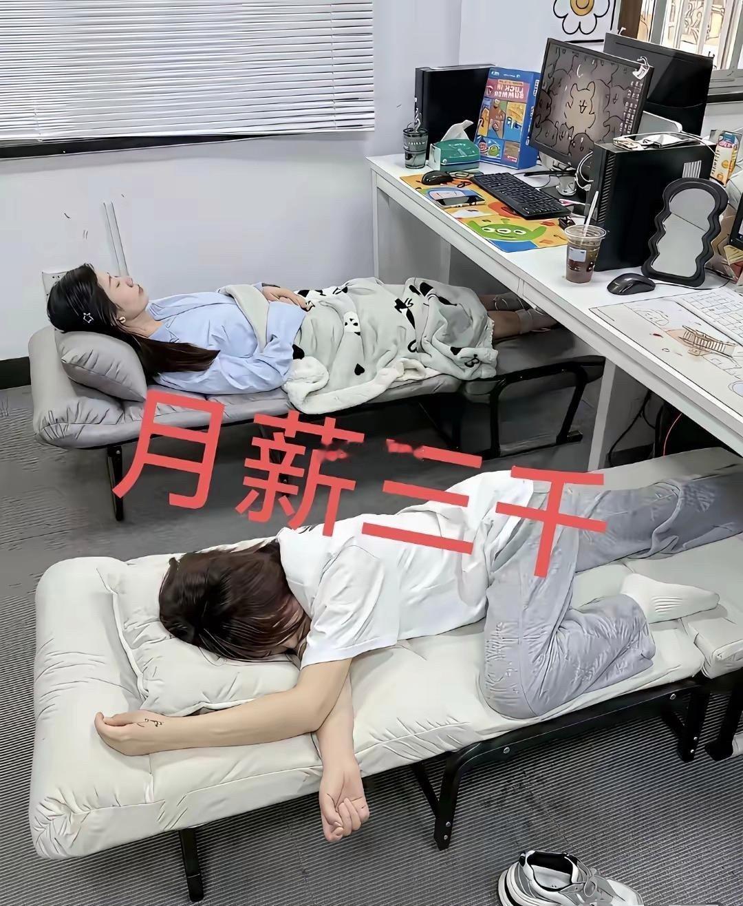 如果是你，你会选哪个工作？ 