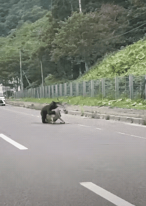 这种情况到底该不该救？