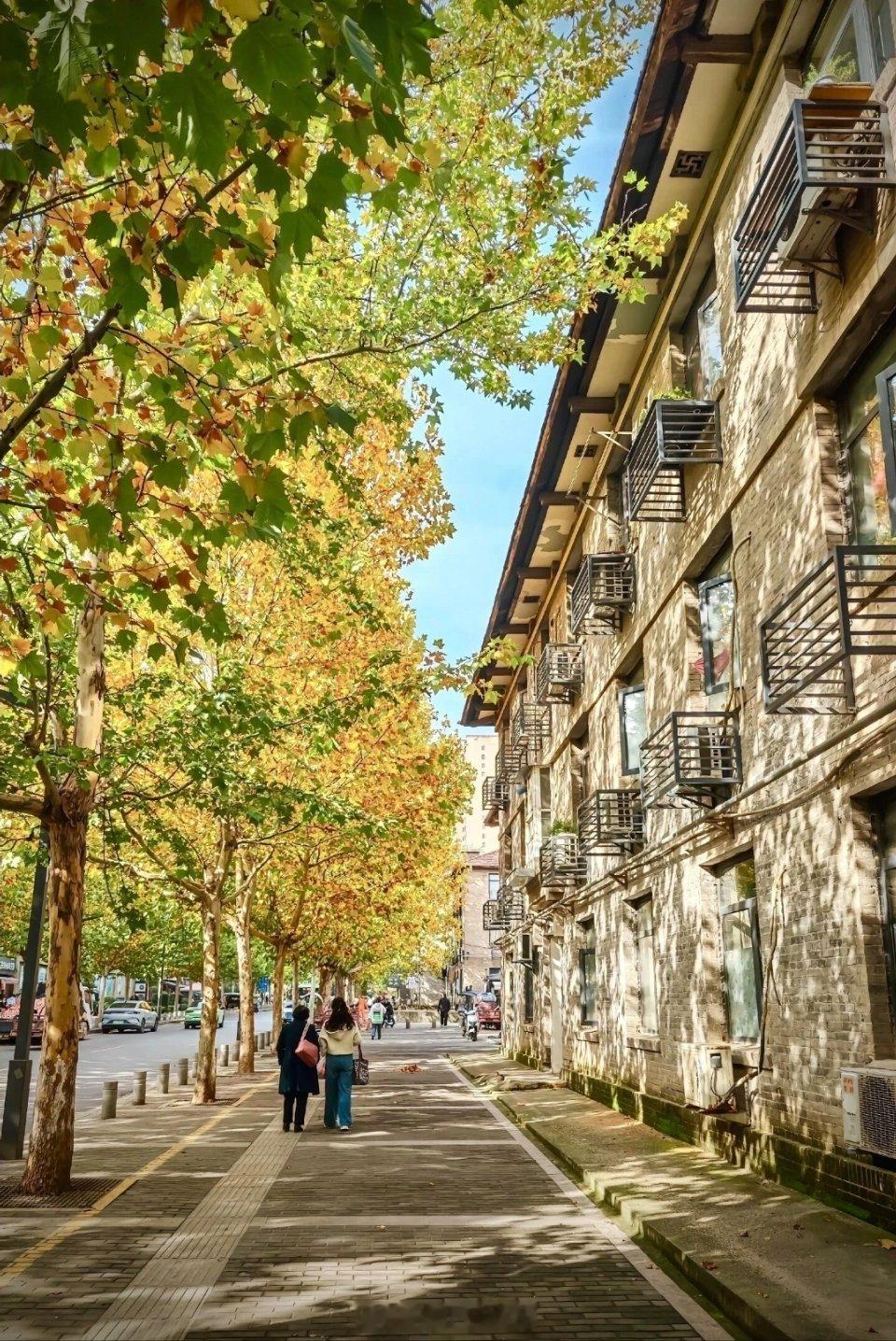 喜欢在这阳光洒满斑驳的街道上散步，有种岁月乱好的错觉！生活手记