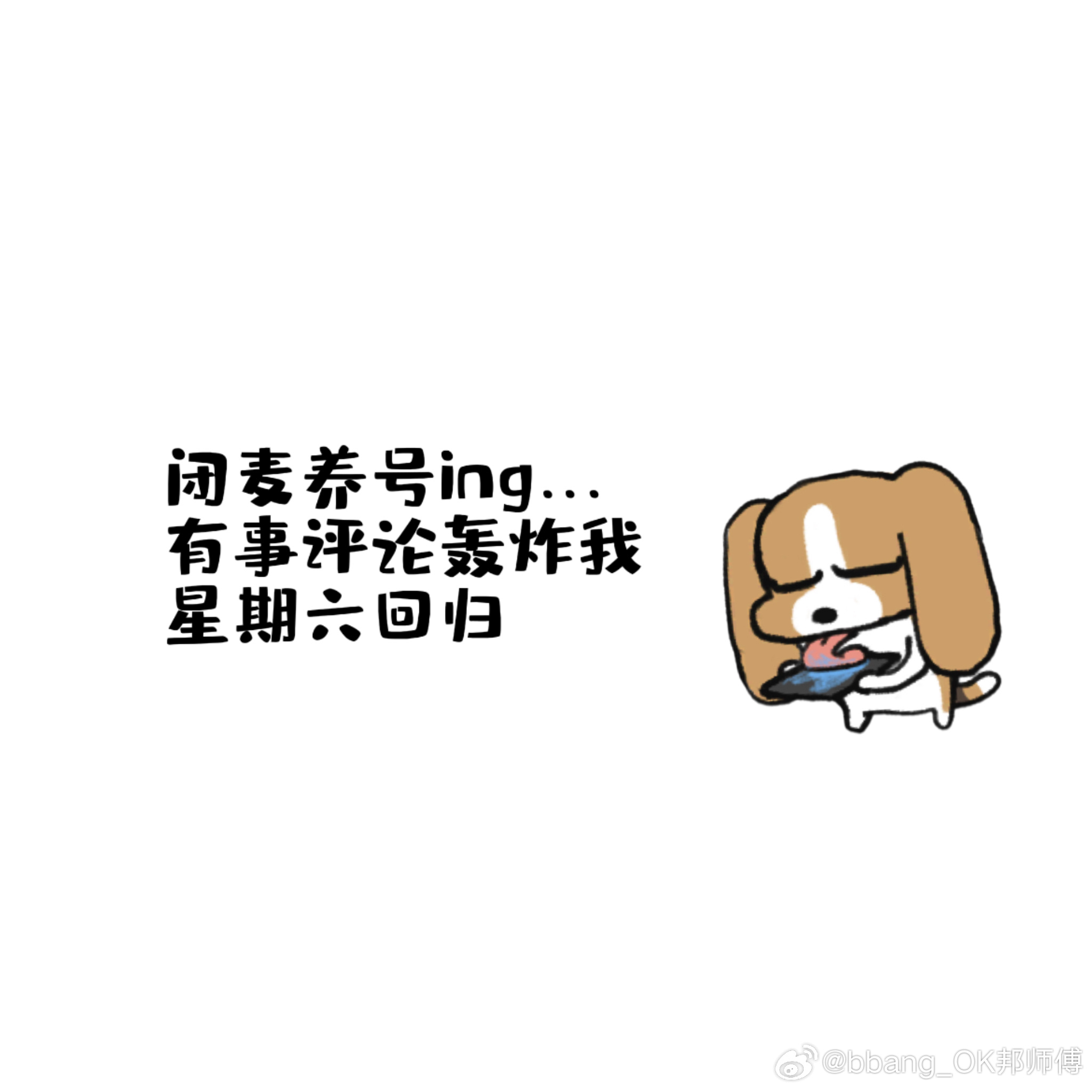 从现在开始，我不说话了 ​​​
