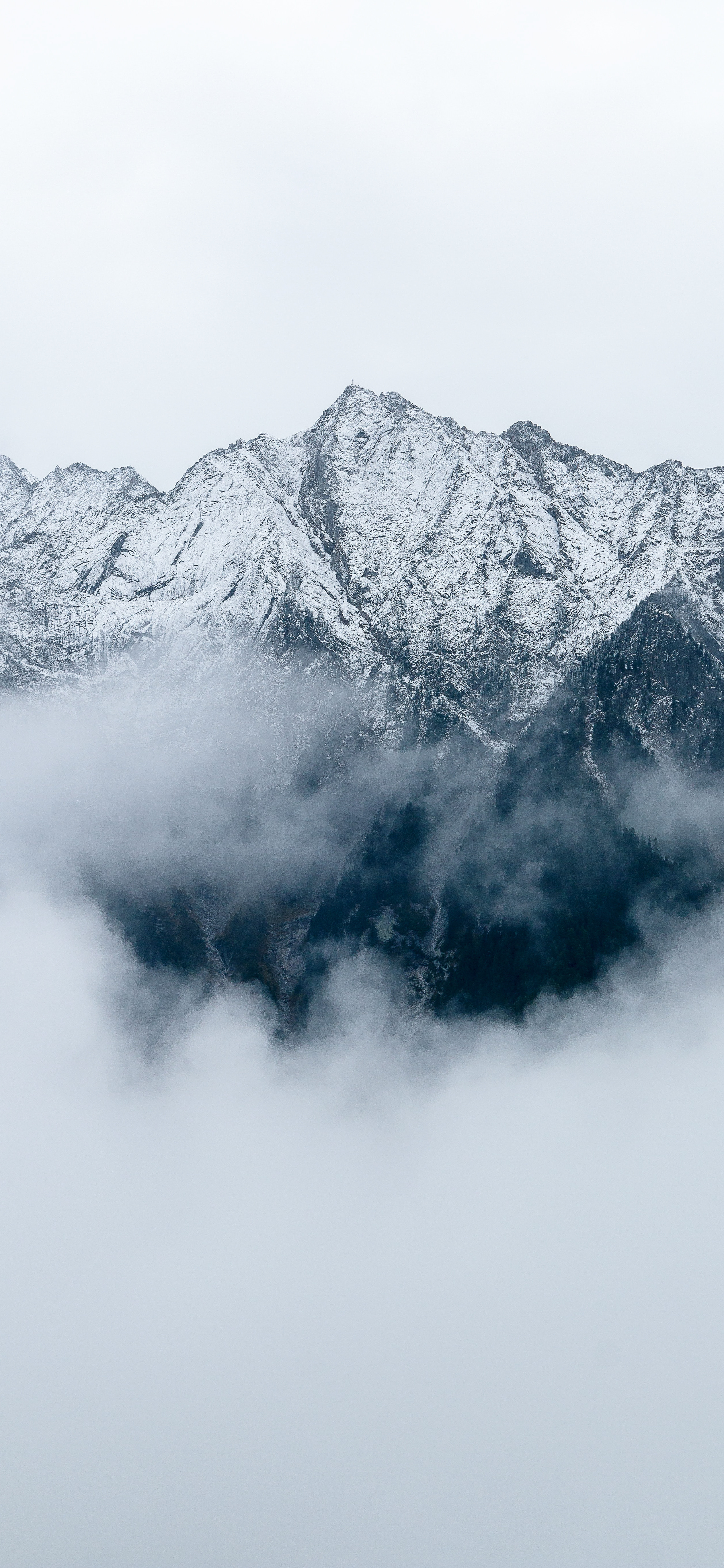 今日份的景深壁纸～冷淡风