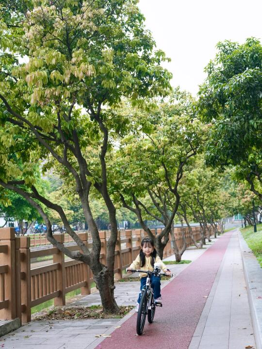 🚴周末骑行｜和我的女孩一起追风和拥抱阳光