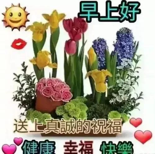 好的心态、是每天快乐的源泉
健康身体、是人生最大的本钱
美好清晨、是我真诚、吉祥