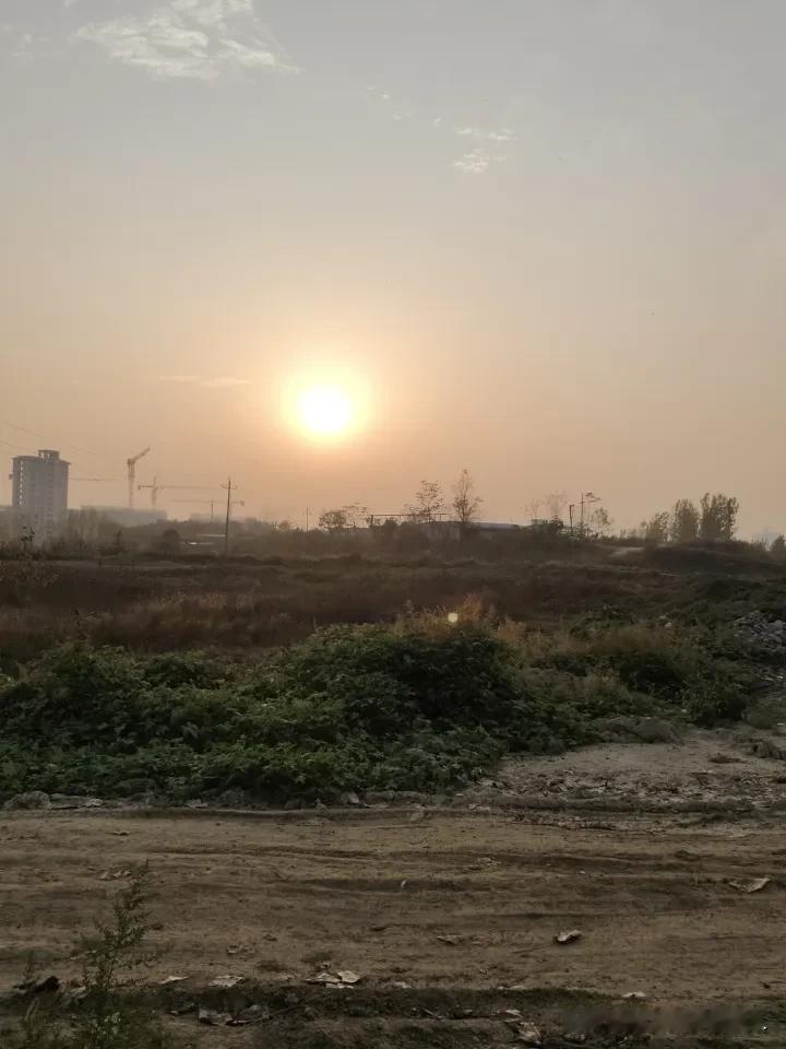 分享相册最新照  最美照片回忆 照片中的时光 相册随拍日志 补发昨日相册 索性发