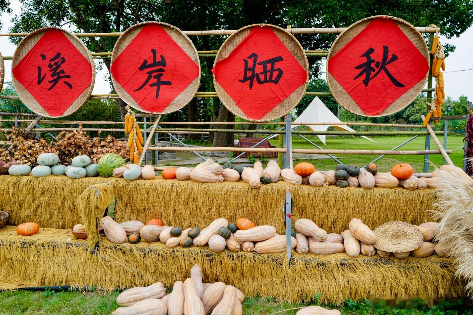 桐溪岸的晒秋，把秋天最饱满的颜色都铺在了草地上🎃 ​​​