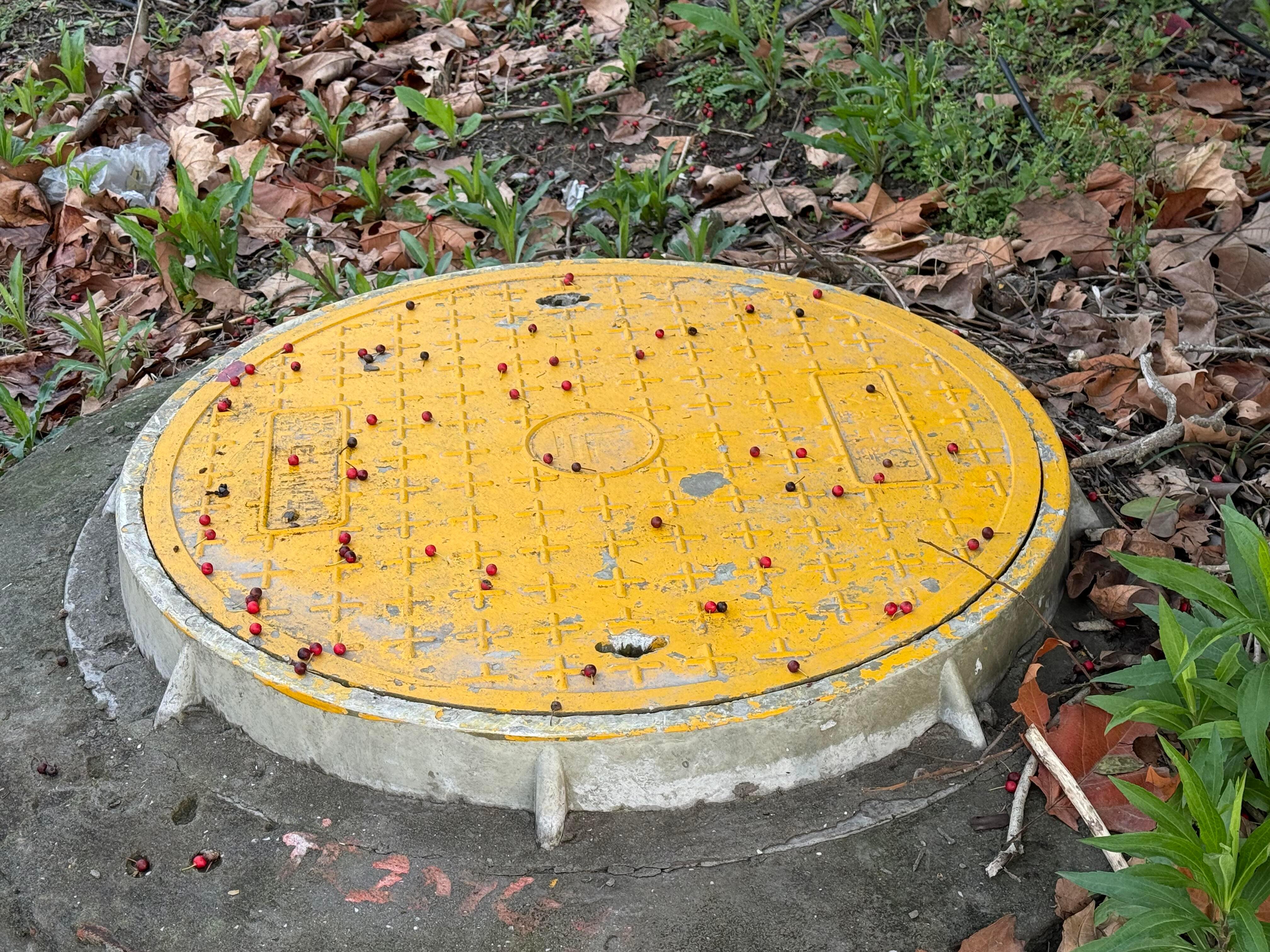 春天就是风也下棋树也下棋春天真的太会浪漫了，风也在下棋，树也在下棋。微风轻轻吹过