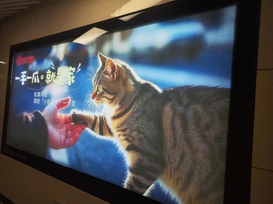 为哈尔滨地铁宣传画点赞