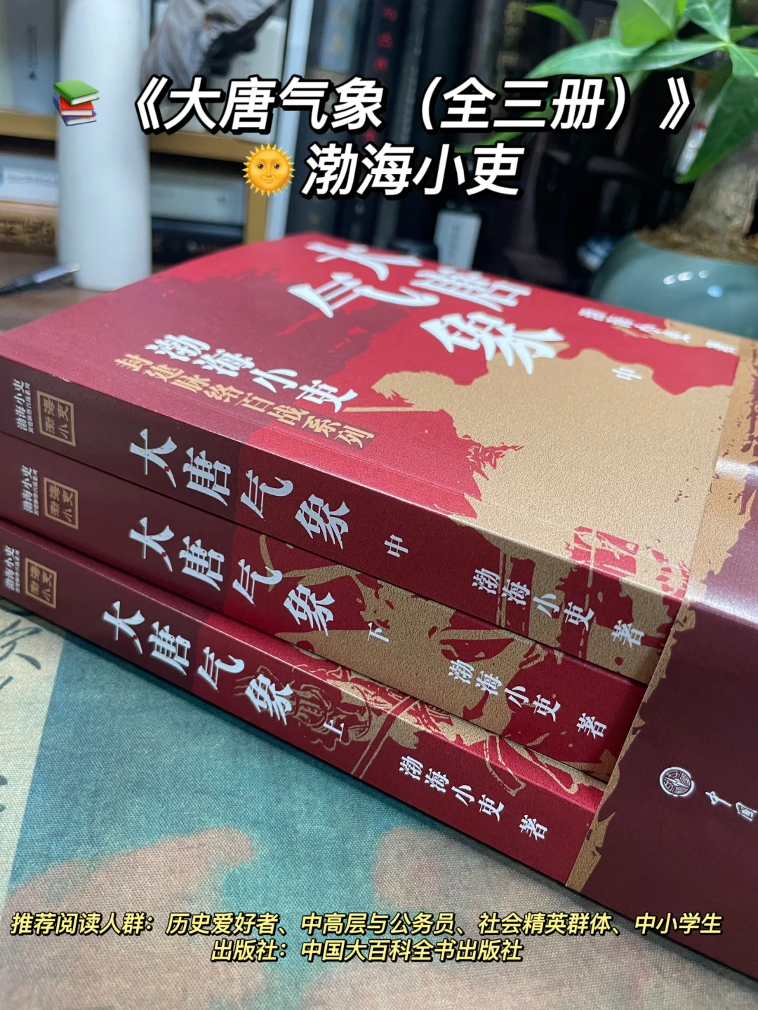 新书推荐📚了解大唐的一本书