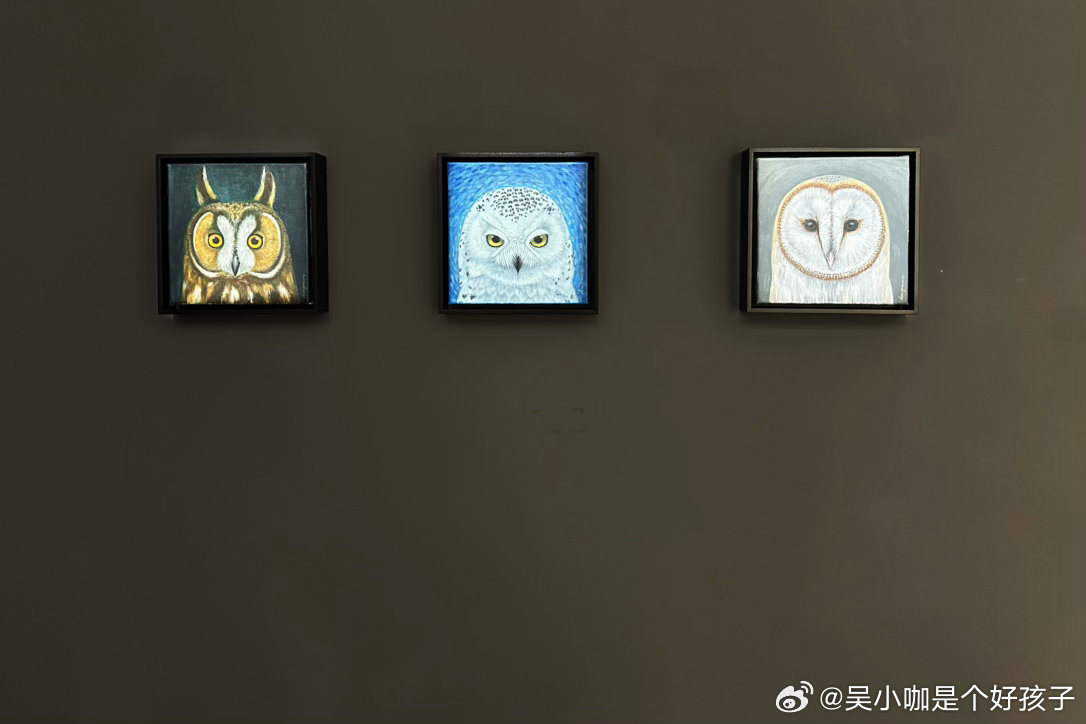 前来朝拜大佬的画展，箭环蝶的布景太美了！ 北京·价值空间ARETE SPACE