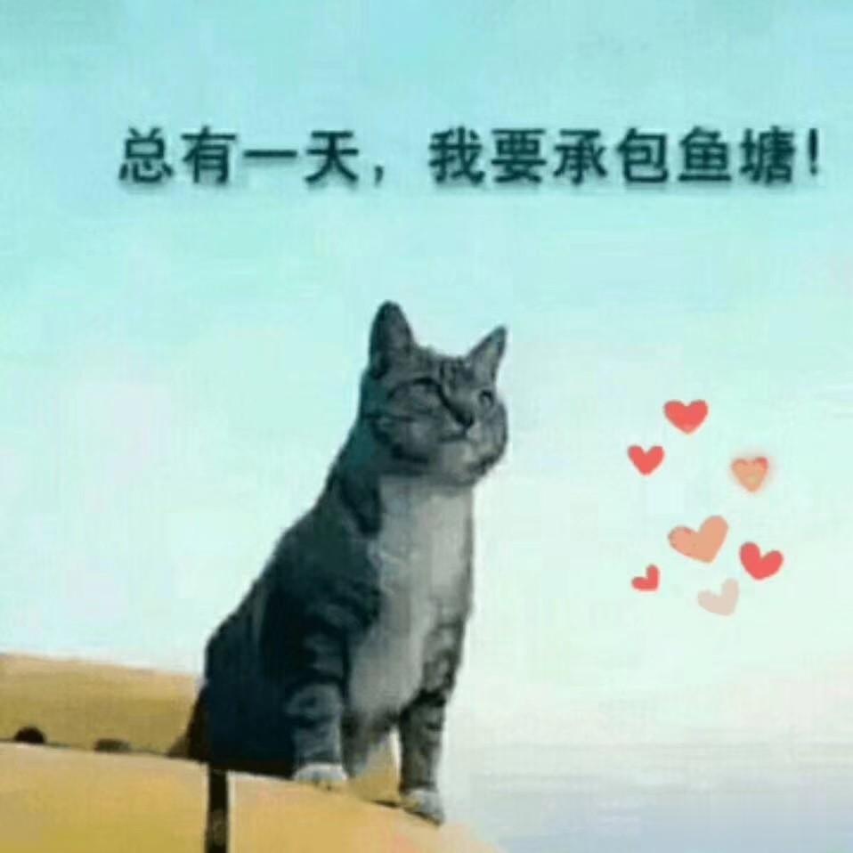 每个人都要有明确的目标，就是猫也一样!
每个人都要有明确的目标，就是猫也一样! 