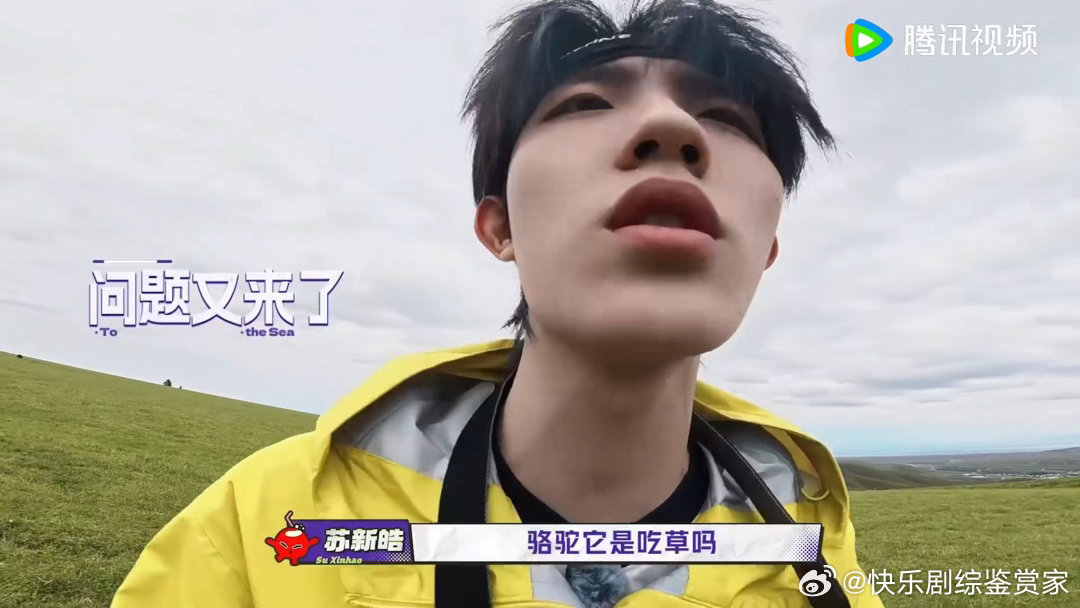 苏新皓十万个为什么苏新皓好奇宝宝谁懂啊，看他不停抛出各种问题，认认真真钻研骆驼，