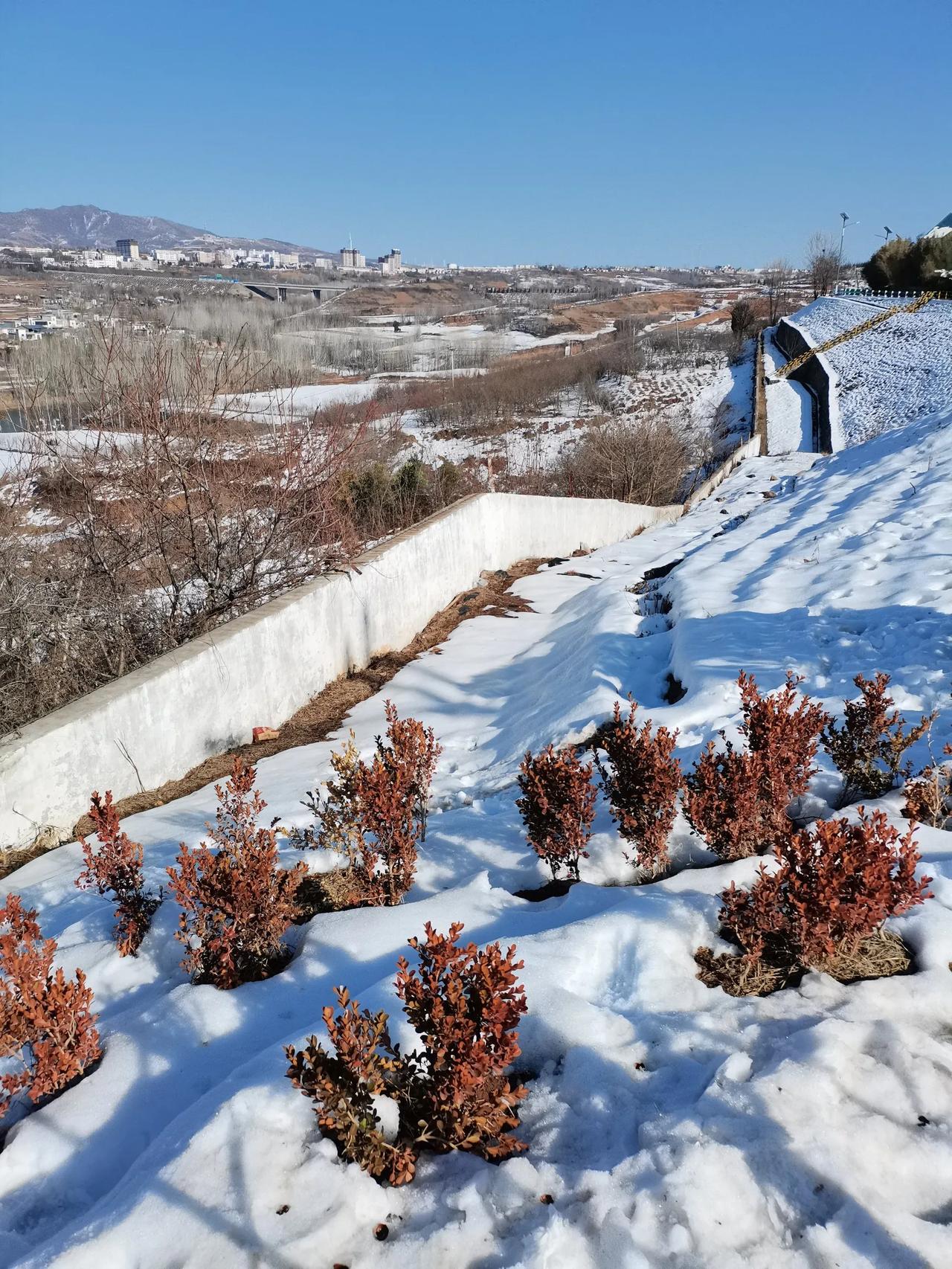 洛阳的“小洱海”，你去过吗？雪后的陆浑水库，呈现出“苍山洱海”一般的美！

今天