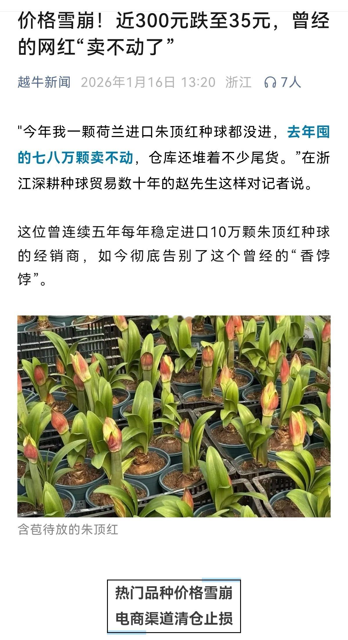 像不像百年前的“荷兰疯狂郁金香”事件！