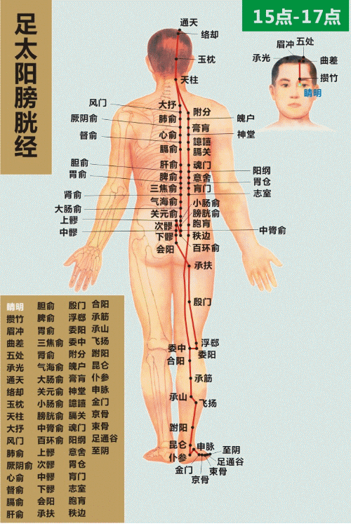经络不通，先调哪里？经络是连接五脏六腑上下的通道。经络畅通，百病不生已经是人尽皆