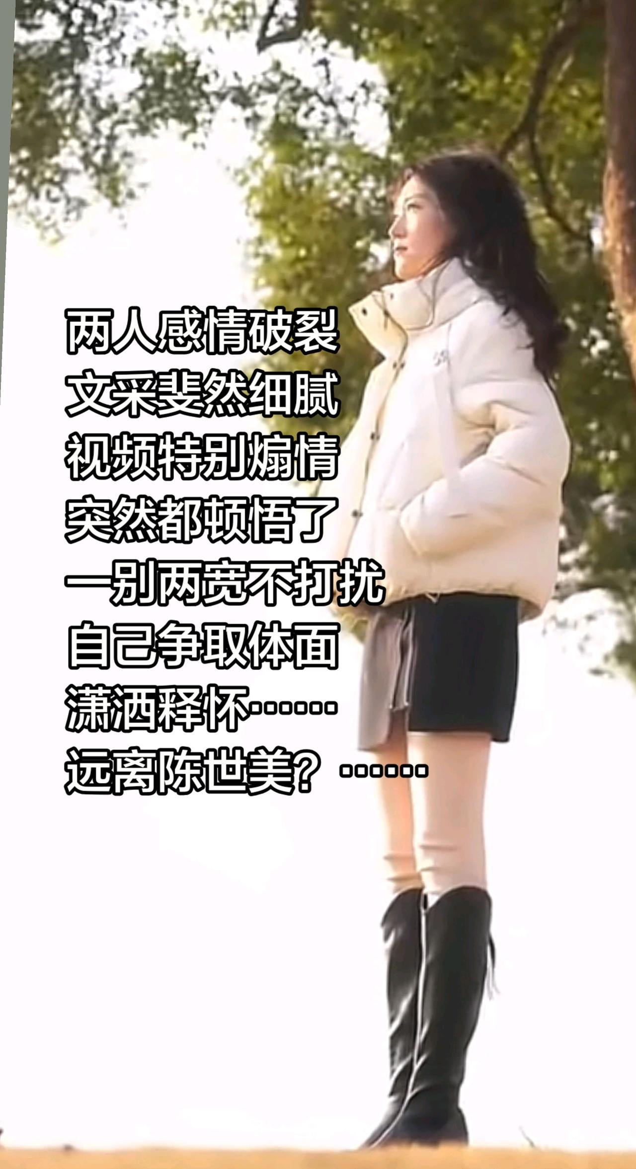 两人感情破裂
文采斐然细腻
视频特别煽情
突然都顿悟了
一别两宽不打扰
自己争取