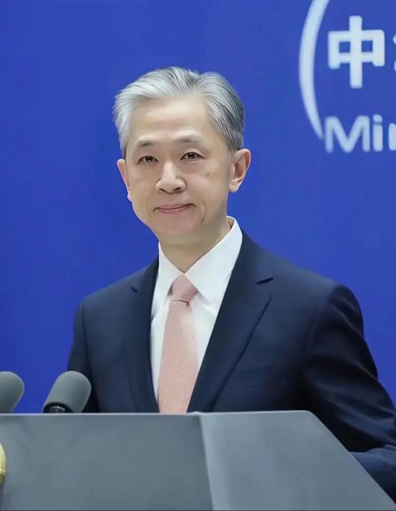 陌上人如玉，公子世无双，最帅的汪叔！外交天团 温润世无双 陌上温润如玉 公子你好