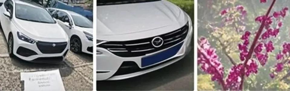 预算11万，油车和电车该如何抉择呢？
同事购置了一辆比亚迪元PLUS纯电版，落地