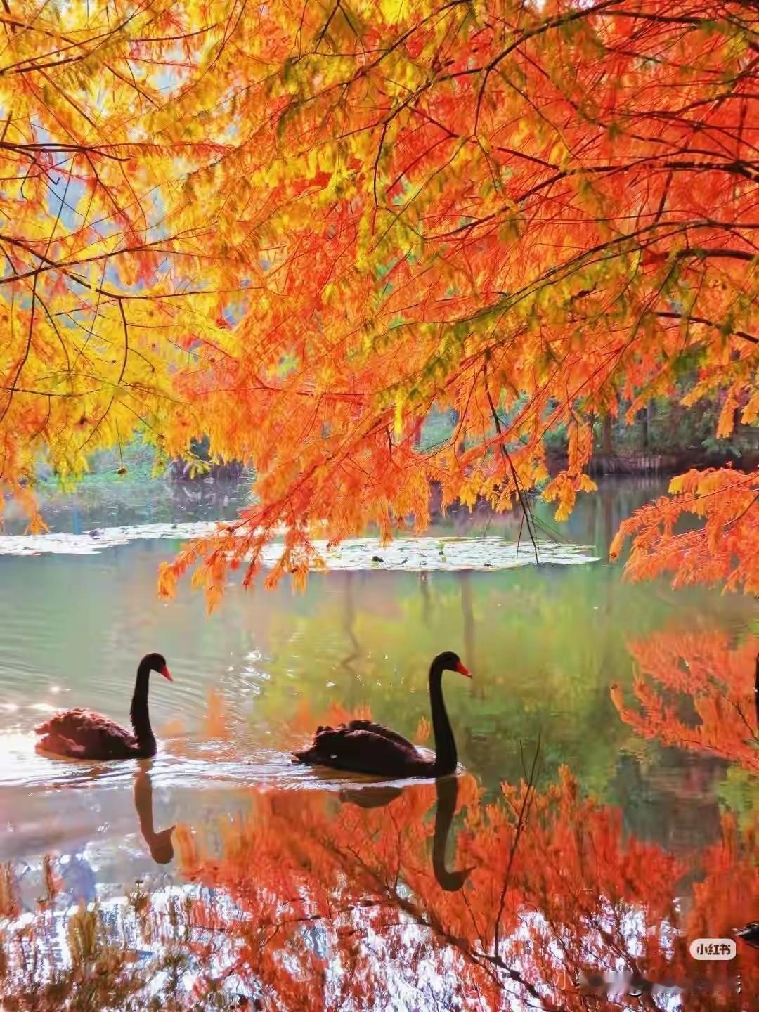 朋友们，一年忧喜今宵过，两鬓风霜明日新。借此辞旧迎新之机，唯愿岁岁平安，日日欢喜