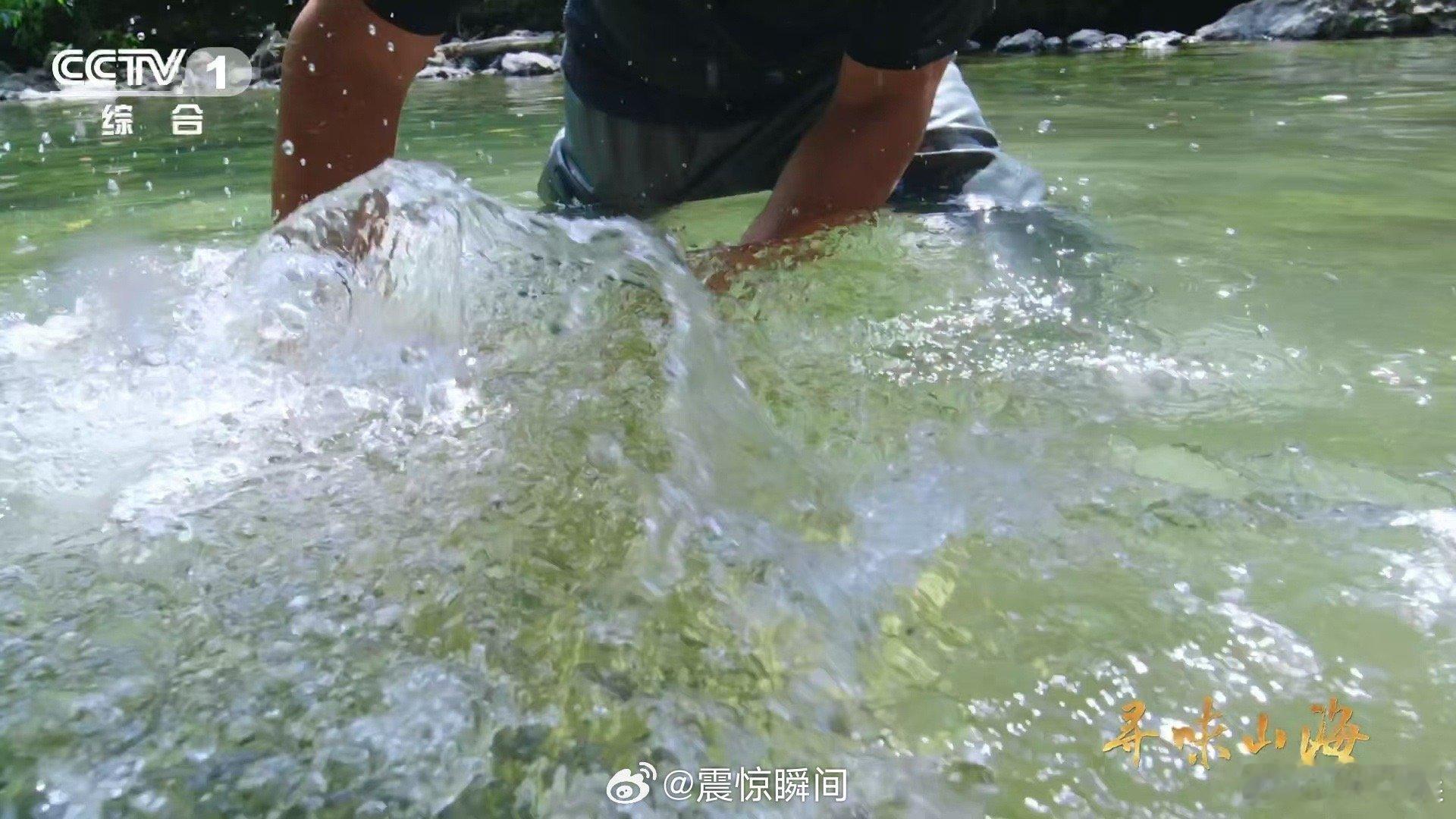 贵阳吃什么听劝版 央视纪录片《寻味山海》首站聚焦贵阳，以刺梨、光唇鱼、花溪辣椒三