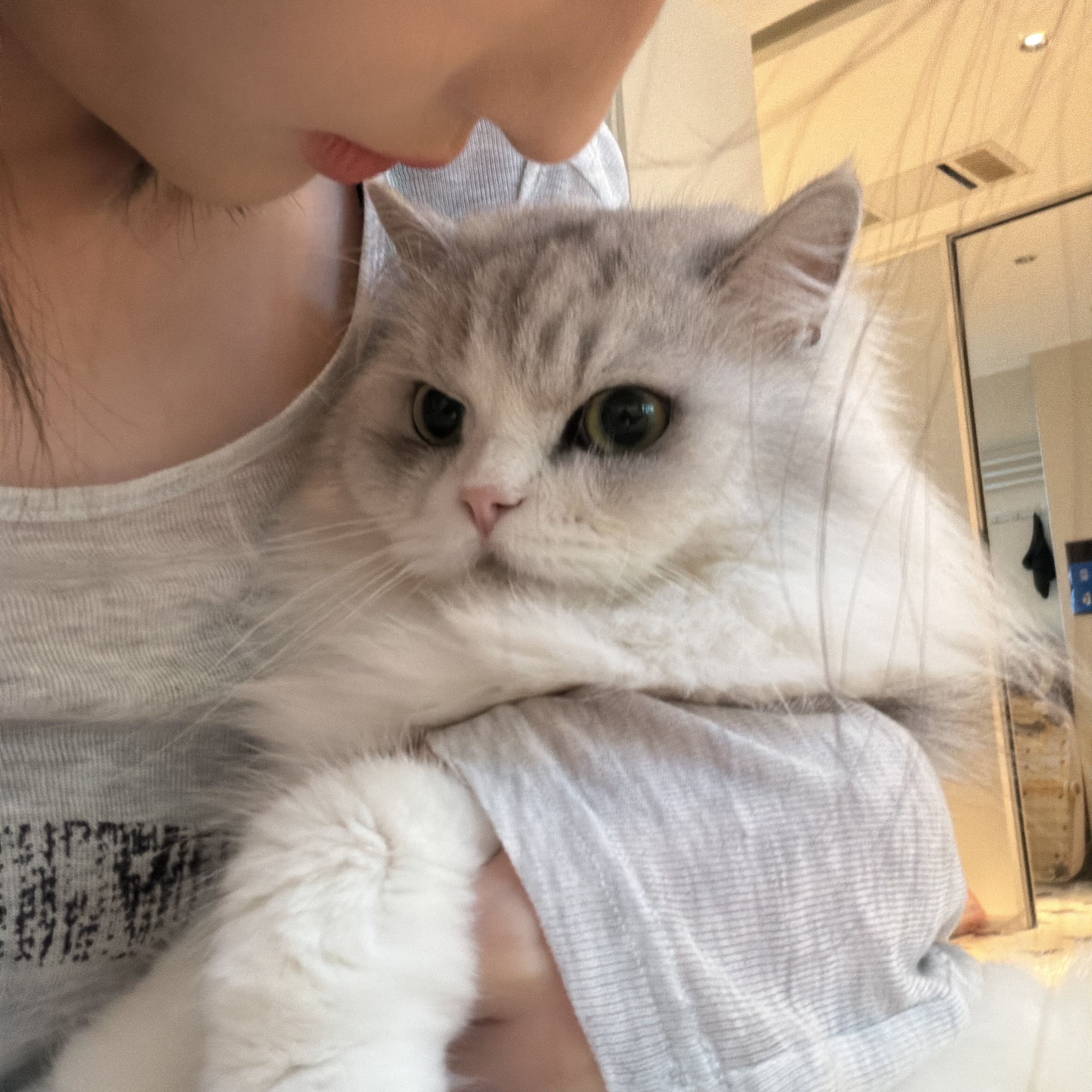 好萌