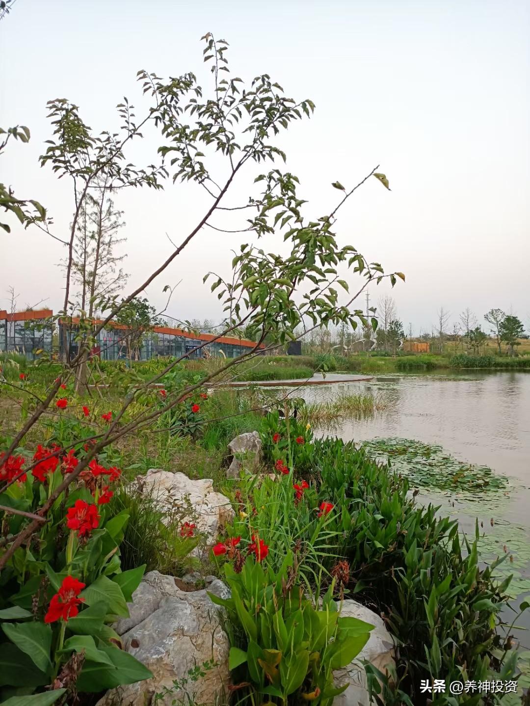 也可以在家门口附近转转，溜达溜达几圈。