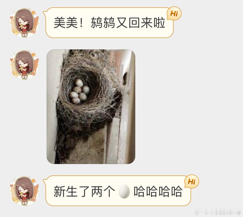 #鸟粉投稿# 跟乌鸫做邻居[开学季]偷着乐吧就 ​​​