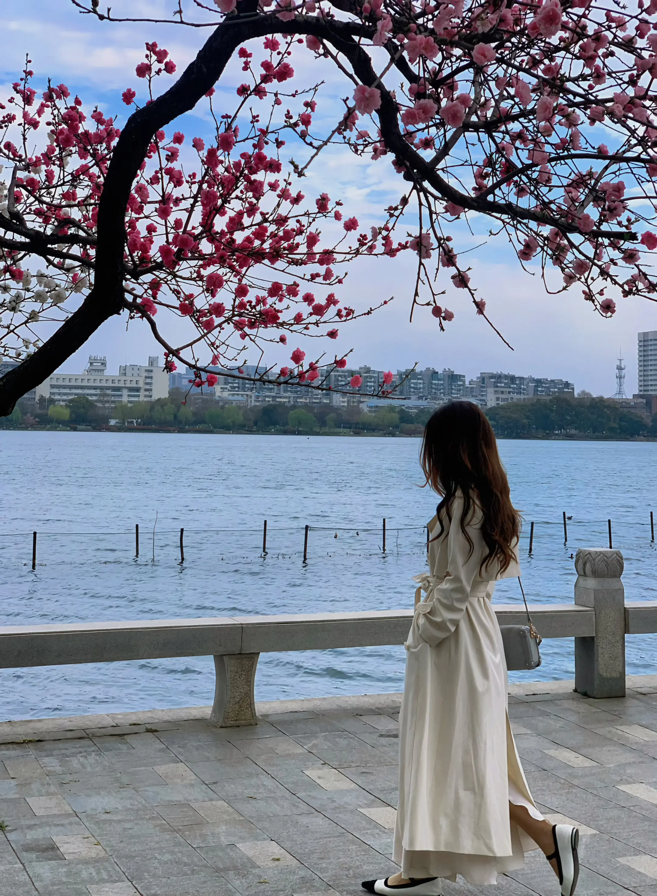 沉寂已久的心情掀起了雀跃