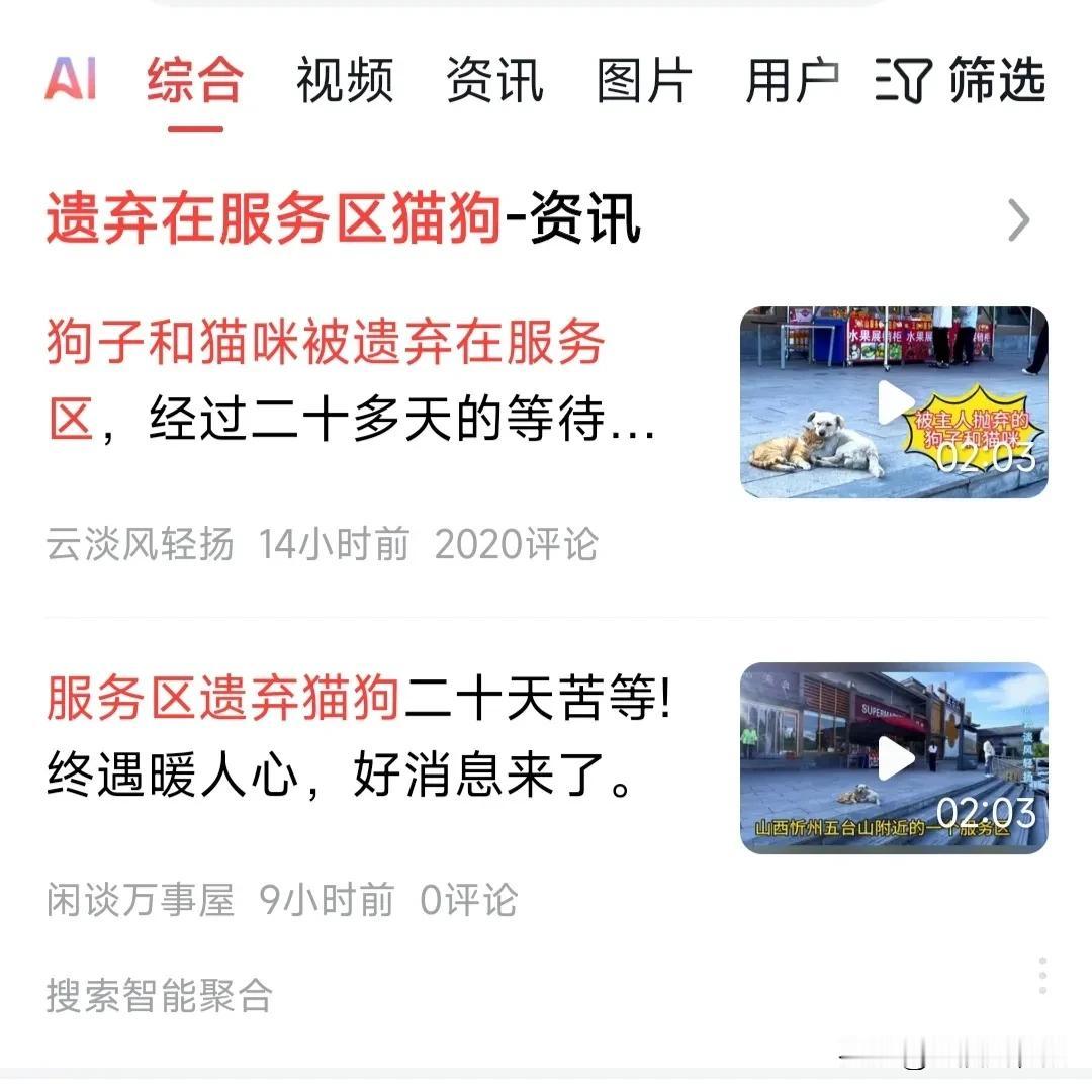 现在头条的抄袭和搬运现象，真的是太严重了。前天发了一篇猫狗被主人遗弃在服务区的微