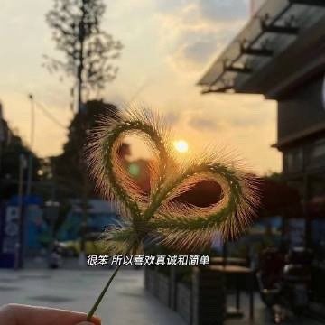 ☀️ᴍᴏʀɴɪɴɢ 🌻“别人再好也是别人，自己再不堪也是自己，你很平凡，但你独