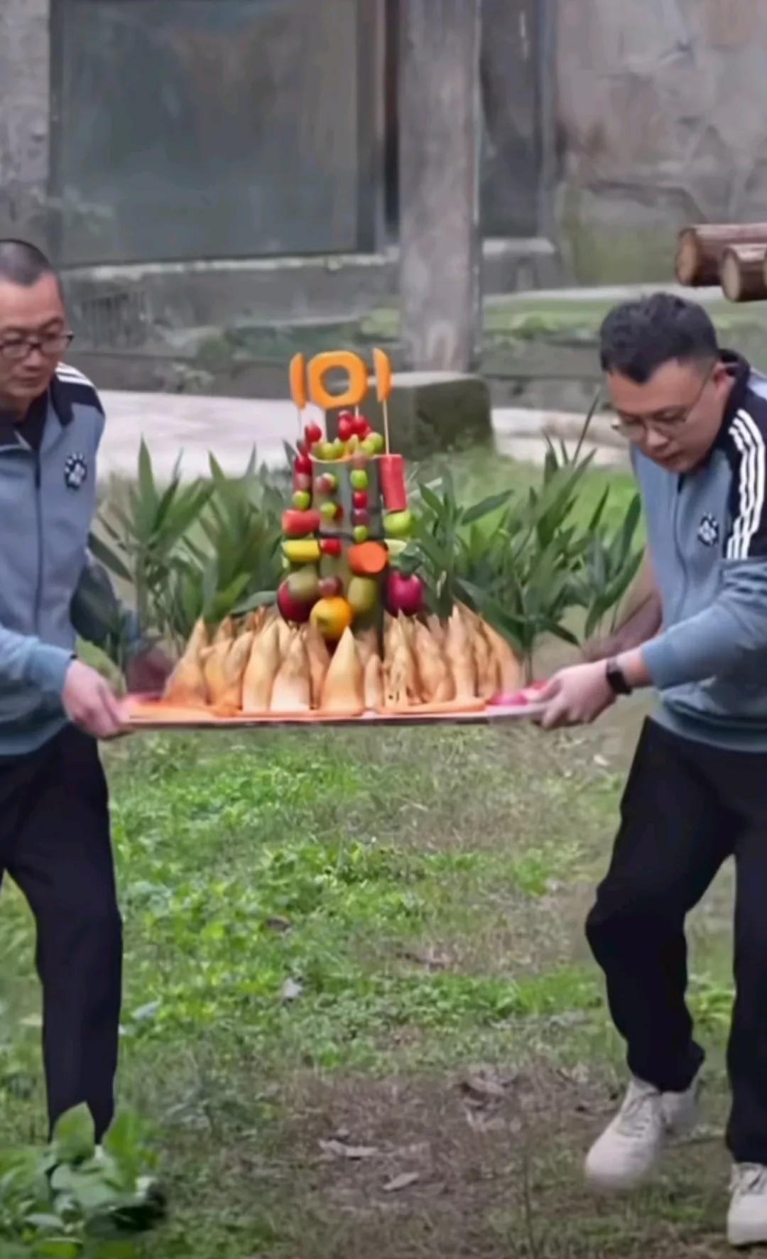 莽小五的快乐，喜提新年礼物跑车一辆。看，小五在车上熟练的打着方向盘！
莽仔的快乐