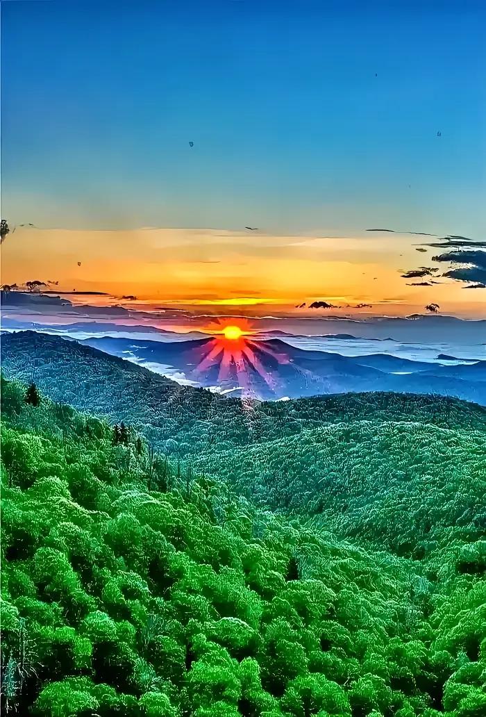 人到了八十四岁，
蕞大的福气，
不是儿女多孝顺，
也不是手里有多少钱，
而是能把