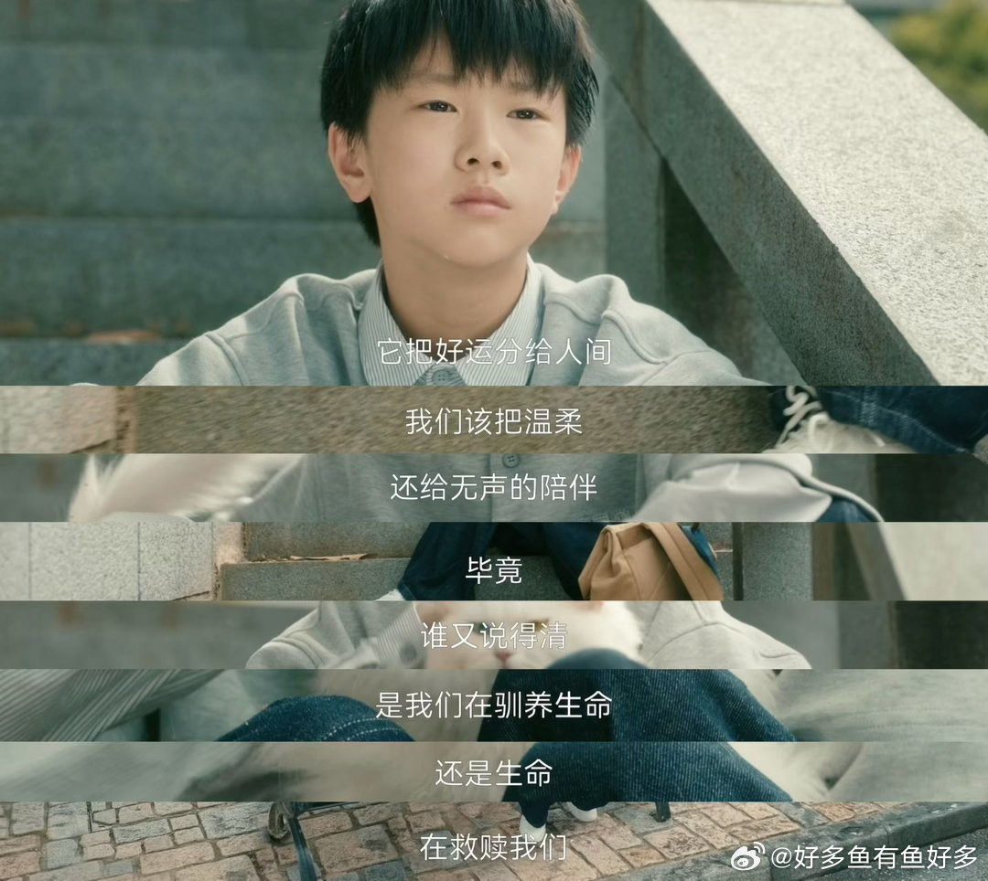 灵魂摆渡为猫咪演技正名🥺看完福神单元久久缓不过来，猫咪细腻的神态变化拿捏到位，
