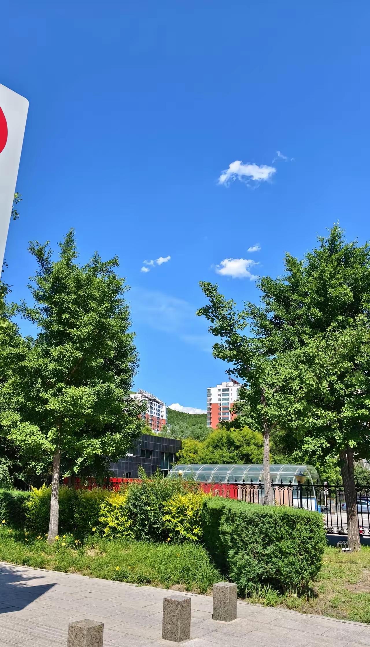 有个男同事快40了还是光棍，年轻时他谈了个对象，婚前怀孕了，女的不要三金，不要房