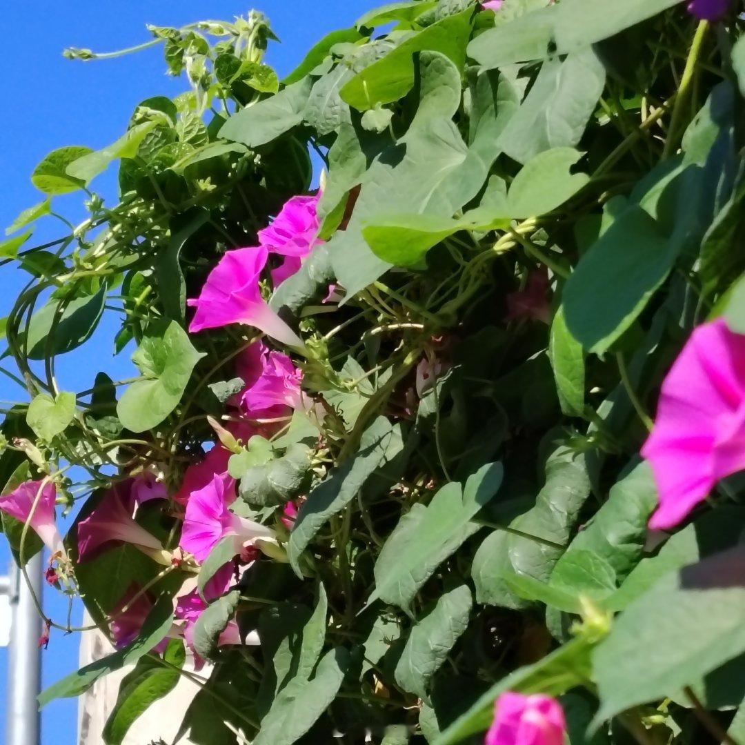 末伏暑渐消，秋意悄悄临～ 