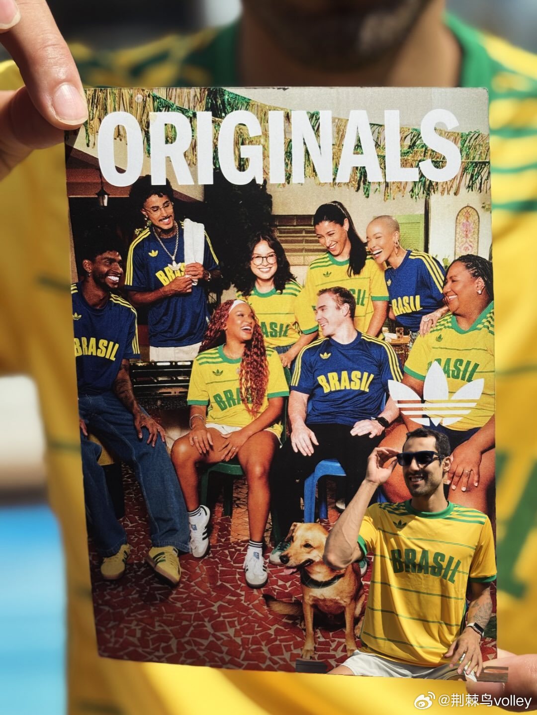 妩媚的道姐😄！今年男排国家联赛将看到他重返巴西国家队。男排 巴西男排