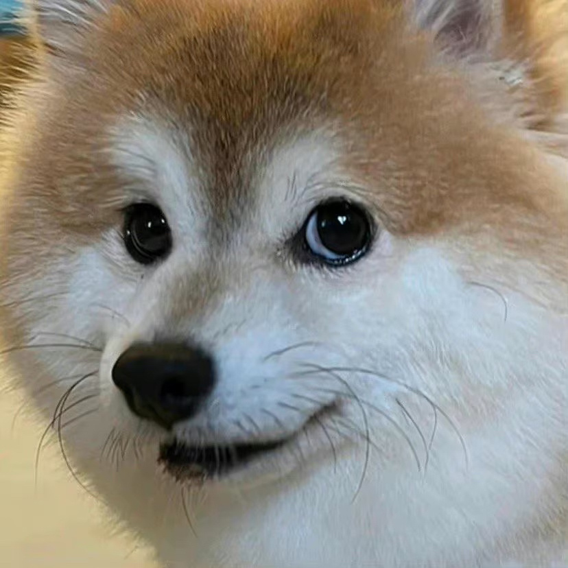 今日份的表情包✅ ​​​