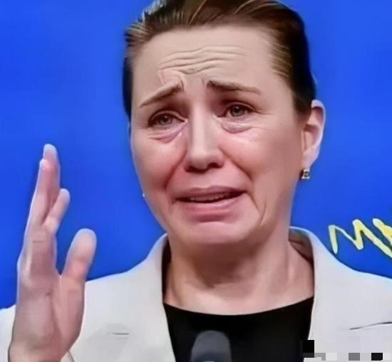 丹麦政府痛恨中国
丹麦的外交大臣拉斯穆森表示，过去不允许中国对格陵兰岛投资，现在