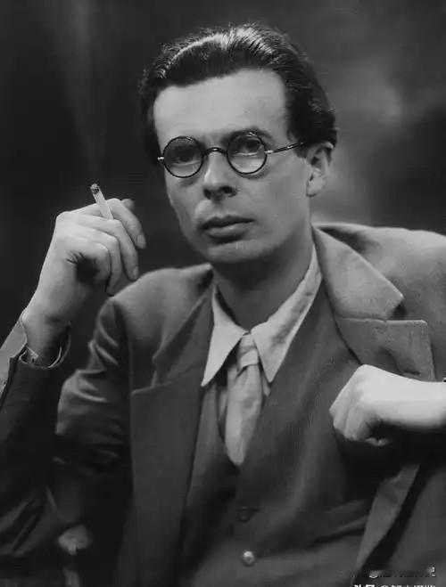 最完美的奴隶制，就是让奴隶们以为自己是主人，最完美的监狱，就是让囚犯们不知道自己