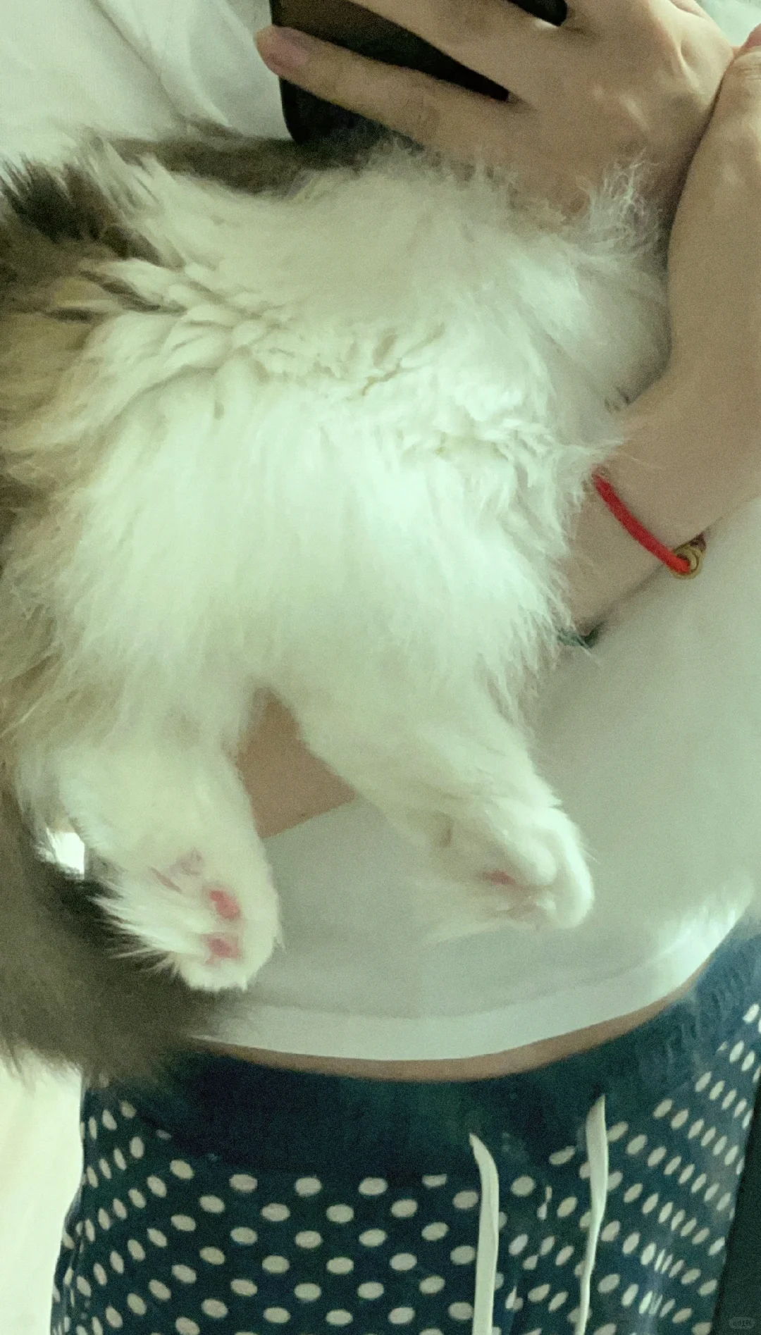 量一下这腿🦵🏻多长