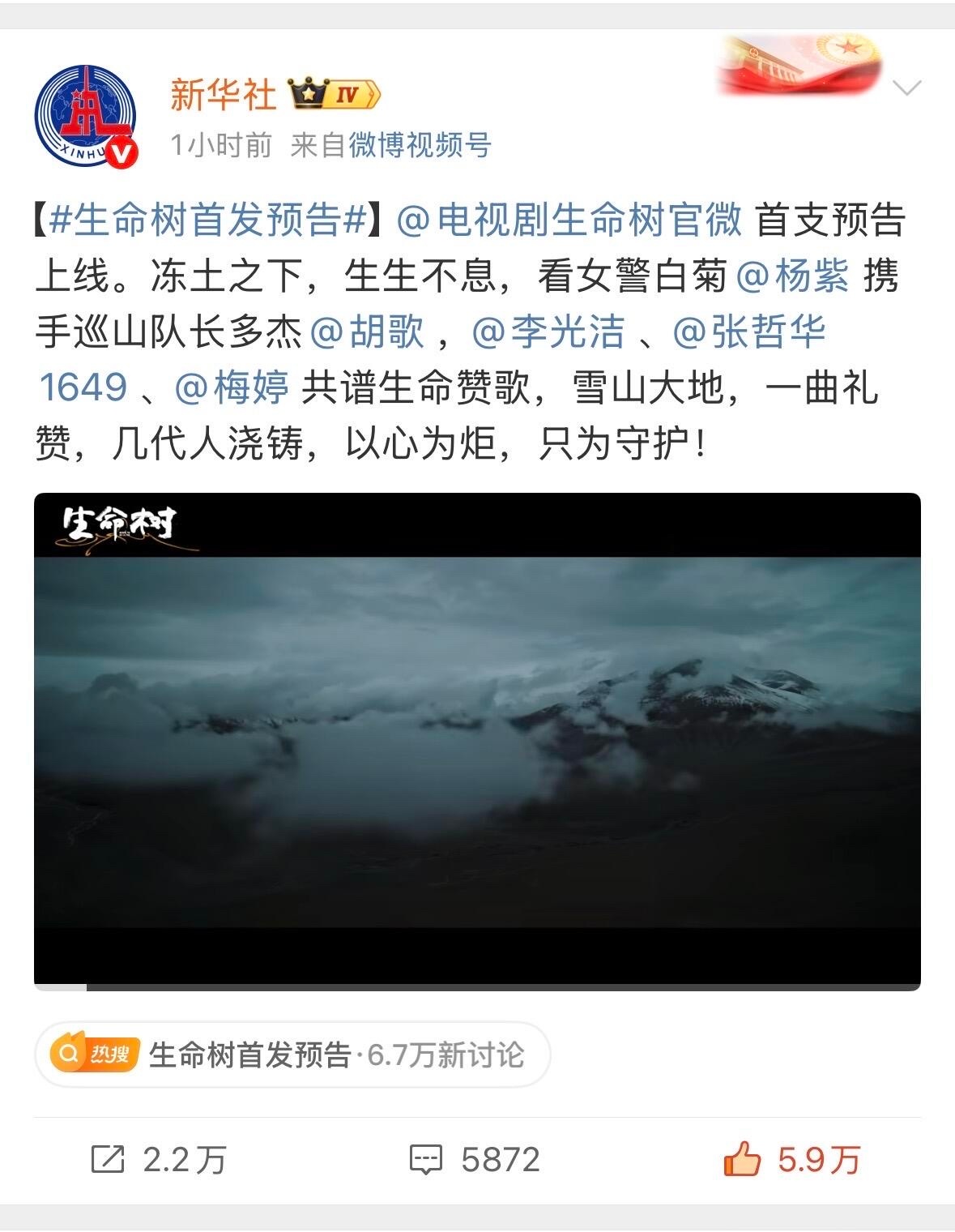 杨紫生命树排面 ​​​
