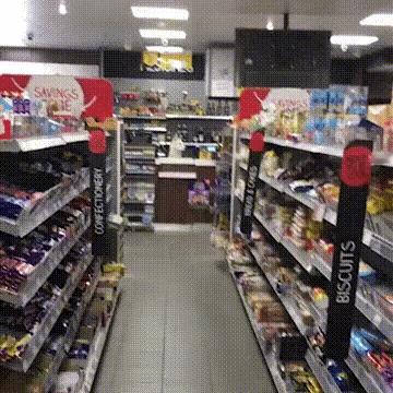 今天都没有人来上班，修狗只好担当起大任了。