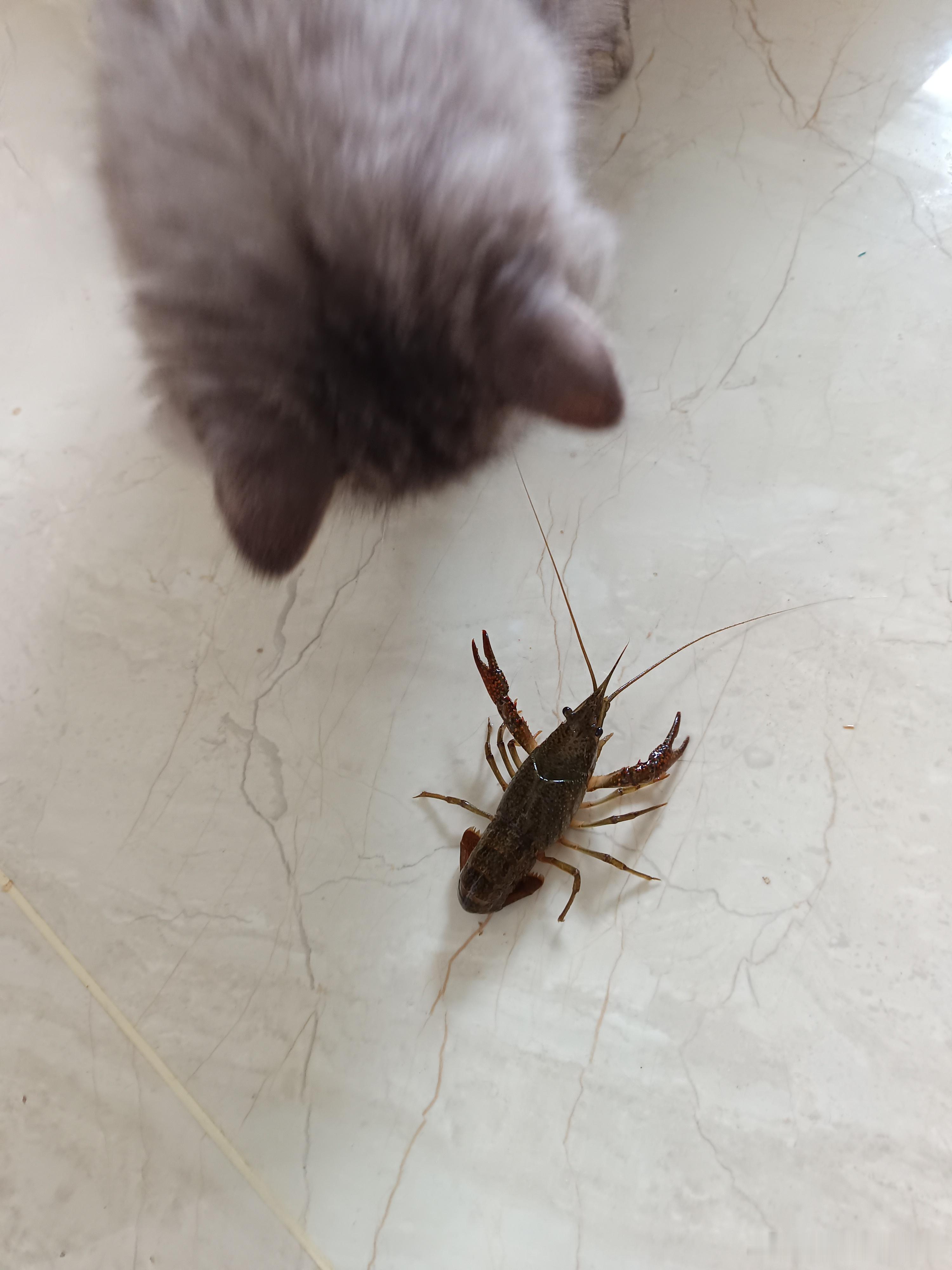 万般关系不如钱有钱可以任性，有钱可以买友情，可以买爱情，还可以买孝心…… 