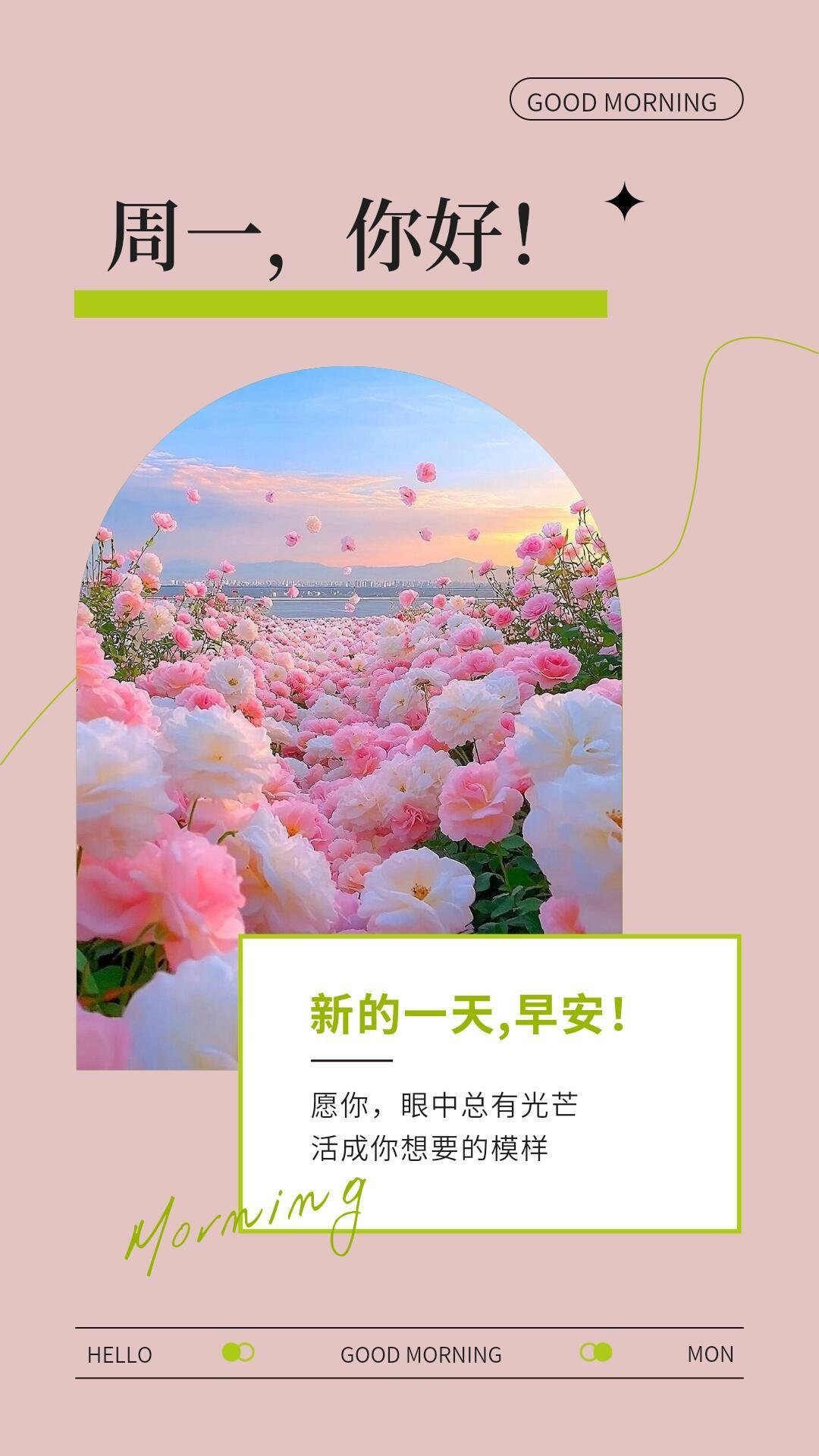 早安 周一晨光映碧空，好运开启意从容。顺流逆风皆风景，微笑前行步履中。深耕自己心