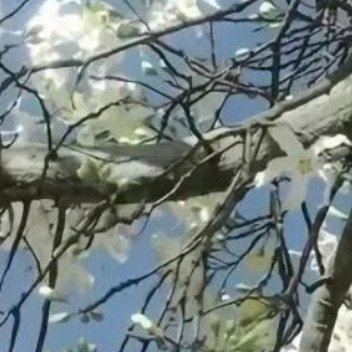 阳光信用 阳光信用每日一善 生活，在坎坷中前行；在悲喜中经历；在得失中选择；在奋